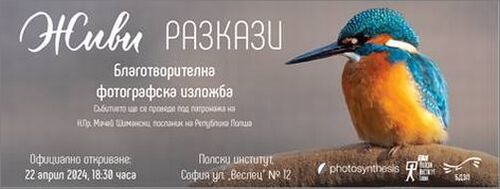 "Живи разкази" - благотворителна изложба в помощ на Българското дружество за защита на птиците
