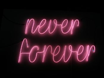 "Never Forever" - изложба на Искра Благоева
