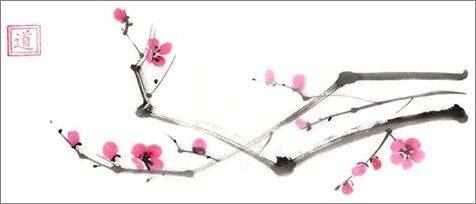 The Fourth International Haiku Contest „Cherry Blossom”