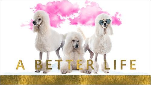 A Better Life –  българо-немска копродукция със световна премиера в София