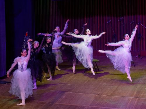 Балетните таланти на НУИ „Добри Христов“ в концерти на 6 и 13 март на Основна сцена в Държавна опера - Варна: 1