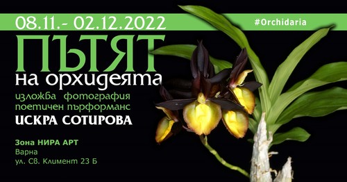 Варненската журналистка Искра Сотирова открива изложба "Пътят на орхидеята" на 18 ноември в 18:00 ч.