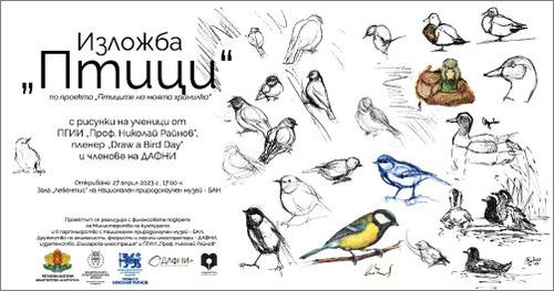 Изкуството на природата: рисунки на птици изпълват Национален природонаучен музей – БАН