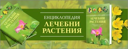 Представяне на „Енциклопедия Лечебни растения"