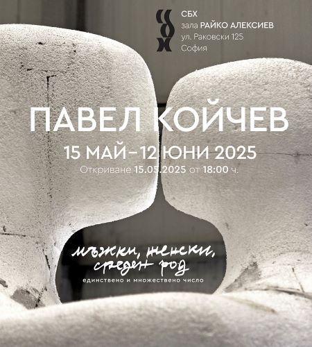 ПАВЕЛ КОЙЧЕВ. Мъжки, женски, среден род, единствено и множествено число