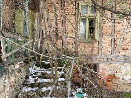 Цветята в градината