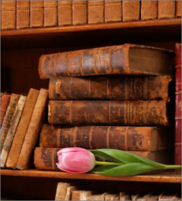 Дамска поезия през март в Националния литературен музей