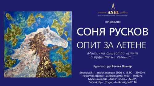 Музей-галерия „Анел“ представя изложбата на Соня Русков „Опит за летене“
