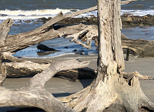 Резултати от Седмия Международен конкурс за хайку “Мая Любенова”